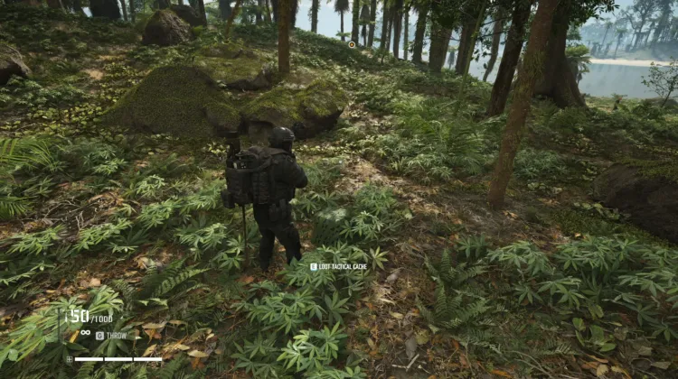 Tactical Caches