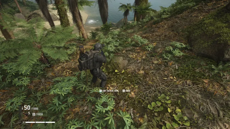 Tactical Caches