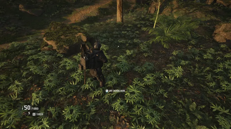 Tactical Caches