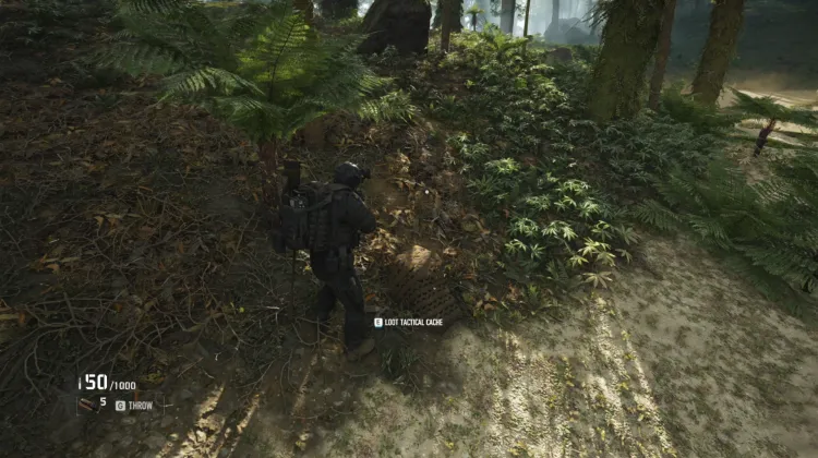 Tactical Caches