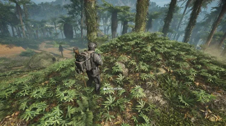 Tactical Caches