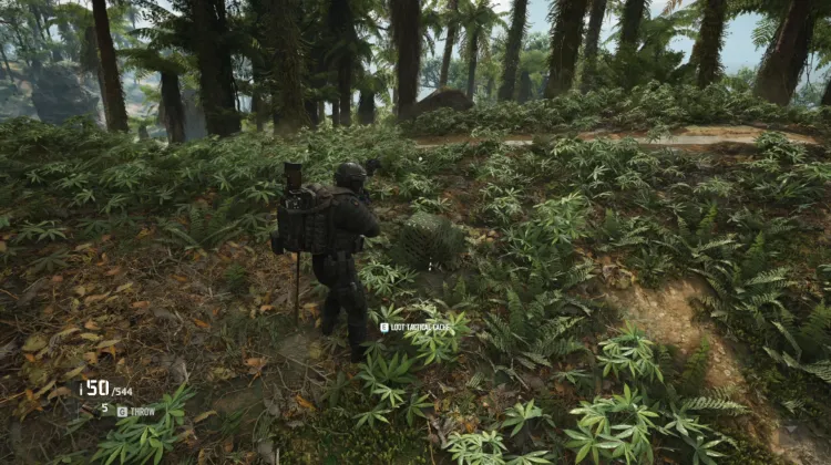 Tactical Caches