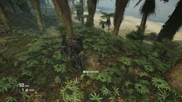 Tactical Caches