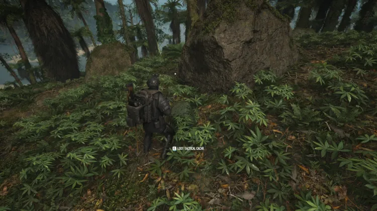 Tactical Caches