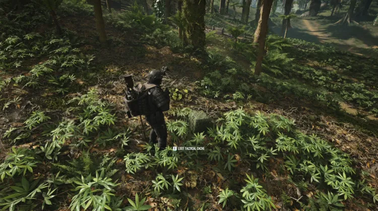 Tactical Caches