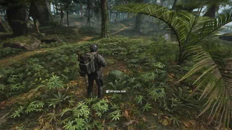 Tactical Caches