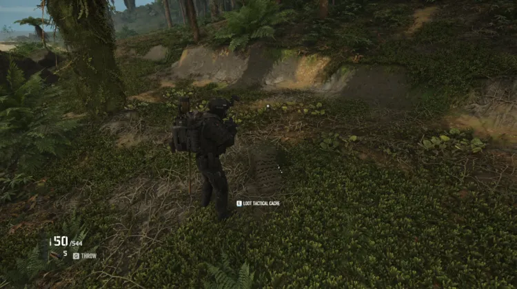 Tactical Caches