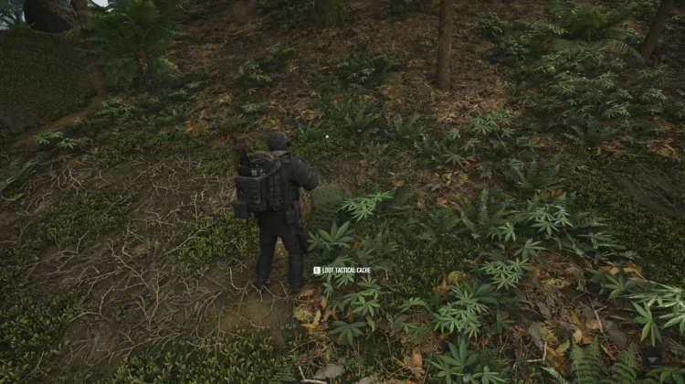 Tactical Caches