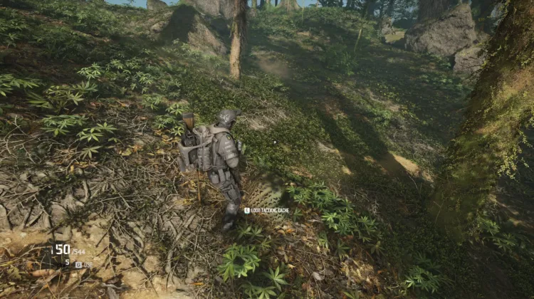 Tactical Caches