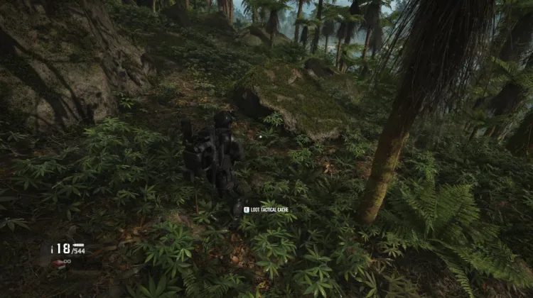 Tactical Caches