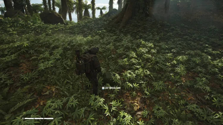 Tactical Caches