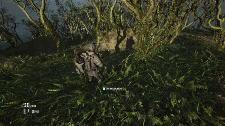 Tactical Caches