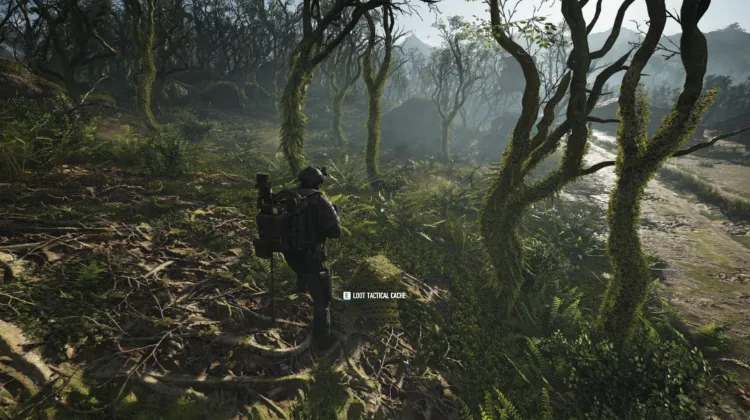 Tactical Caches