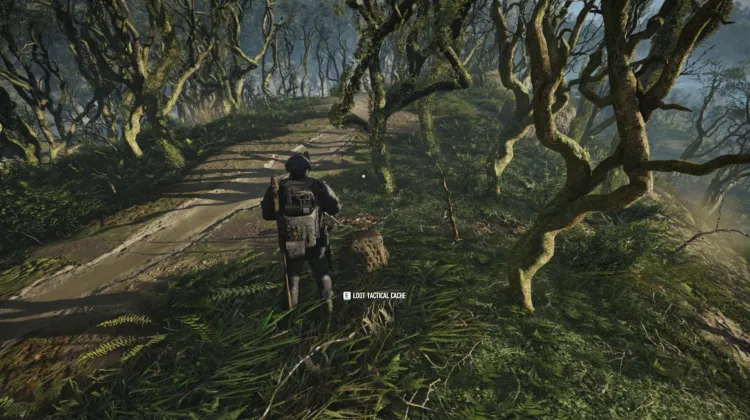 Tactical Caches