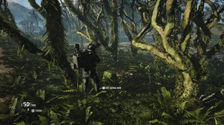 Tactical Caches
