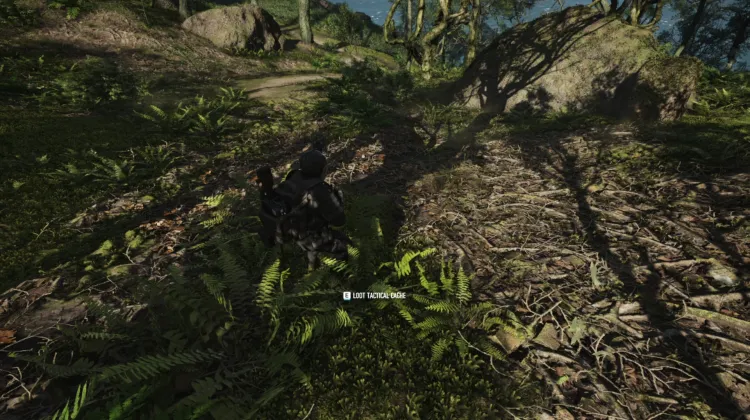 Tactical Caches