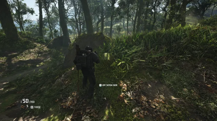 Tactical Caches