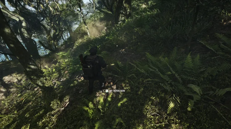 Tactical Caches