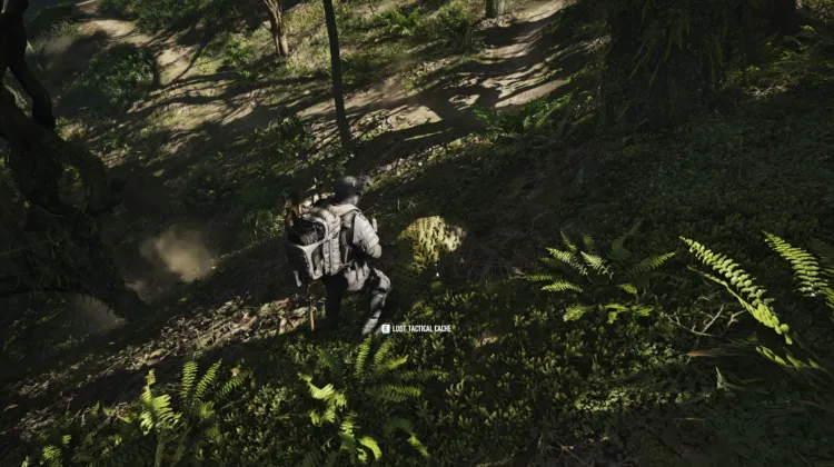 Tactical Caches