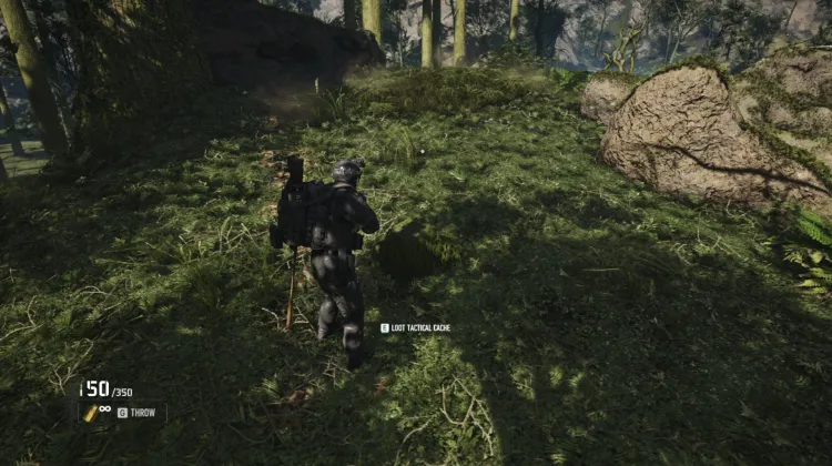 Tactical Caches