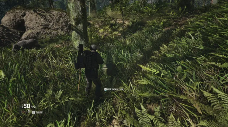 Tactical Caches