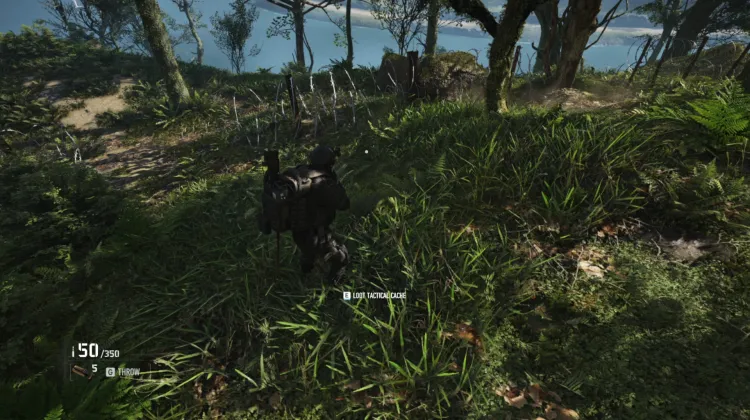 Tactical Caches