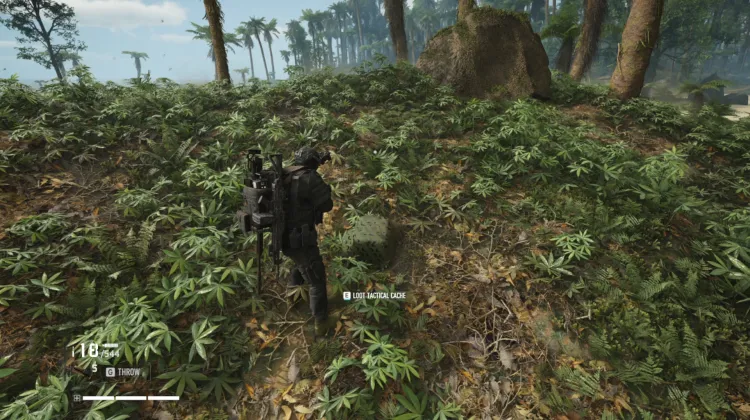 Tactical Caches