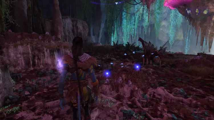 Chiroptera Egg (Exquisite)