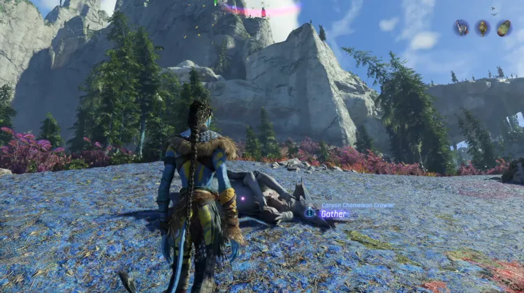 Canyon Chameleon Crawler