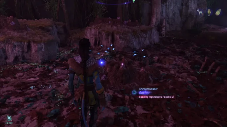 Chiroptera Egg (Exquisite)