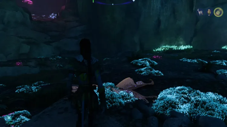 Chiroptera (Legendary)