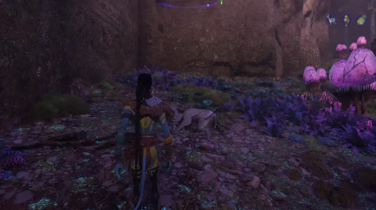 Elder Canyon Meer Deer