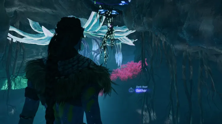 Dark Root (Exquisite)