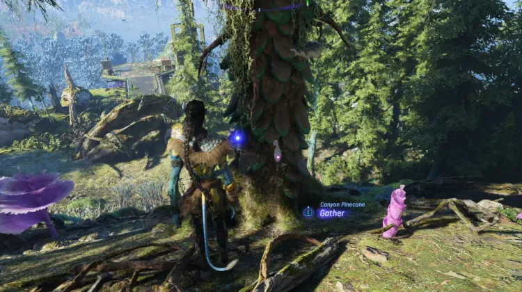 Canyon Pinecone (Legendary)