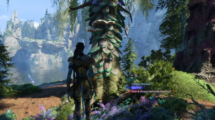 Canyon Pinecone (Legendary)