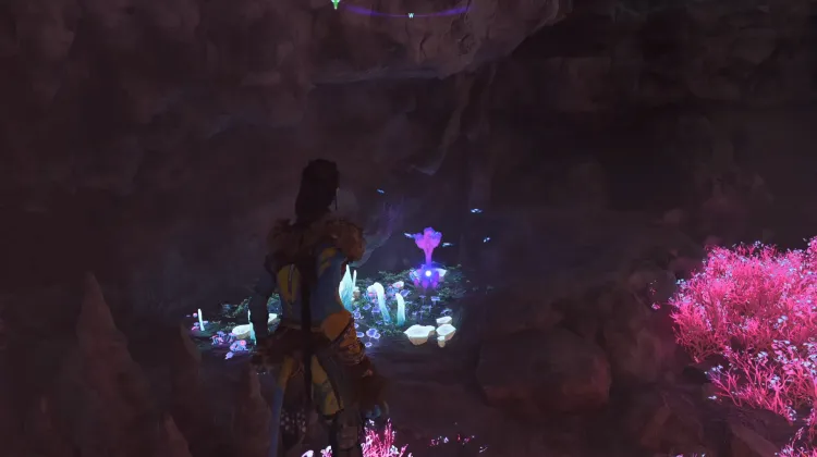 Rockface Mushroom (Exquisite)