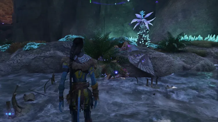 Chiroptera (Legendary)