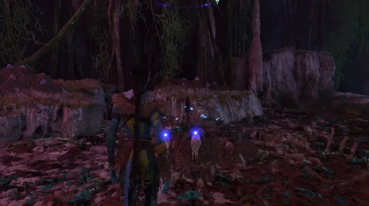 Chiroptera Egg (Exquisite)