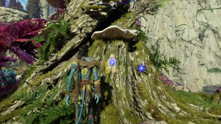 Canyon Pine Bark (Legendary)