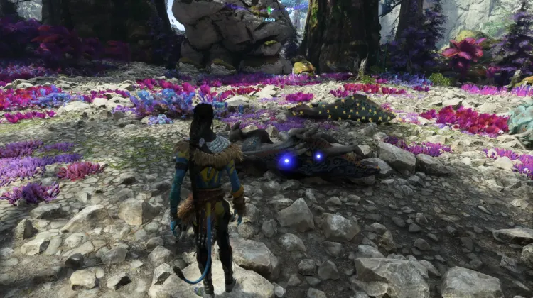 Elder Whipfang Crawler