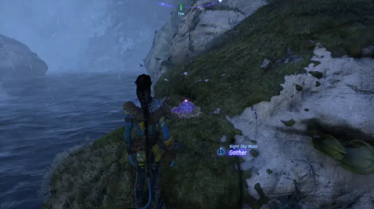 Night Sky Moss (Legendary)