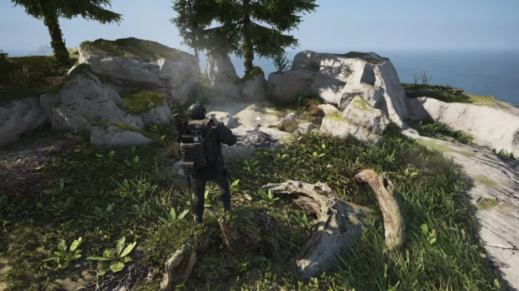 Bleak Hill Bivouac