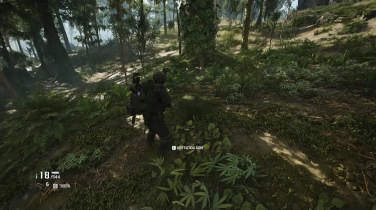 Tactical Caches