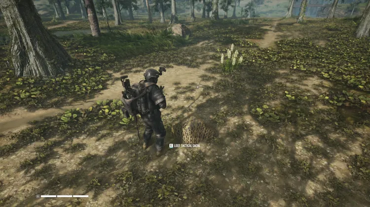 Tactical Caches