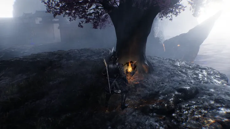 호리에의 덧없는 꽃잎들