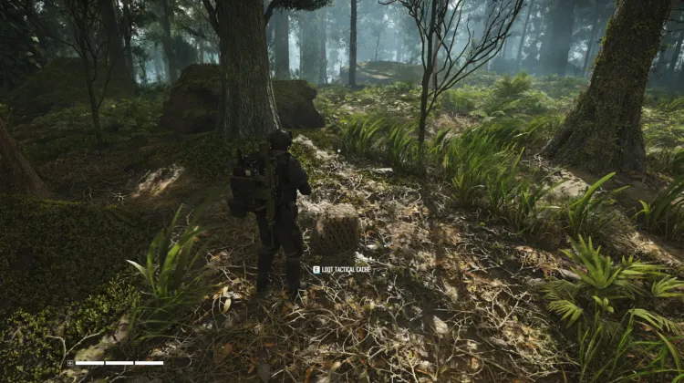Tactical Caches