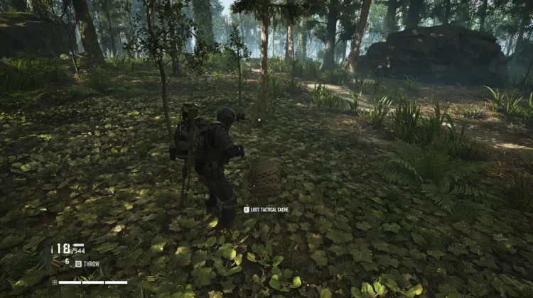 Tactical Caches