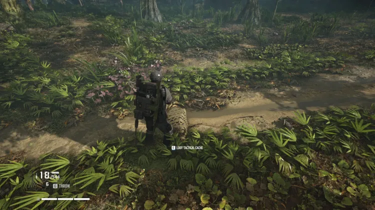 Tactical Caches