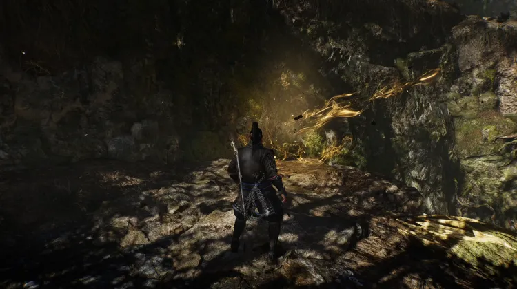 사나루 호수 영맥