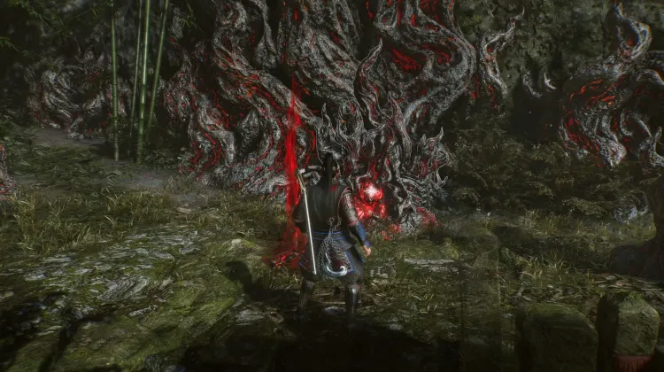 사나루 호수 도가니 가시